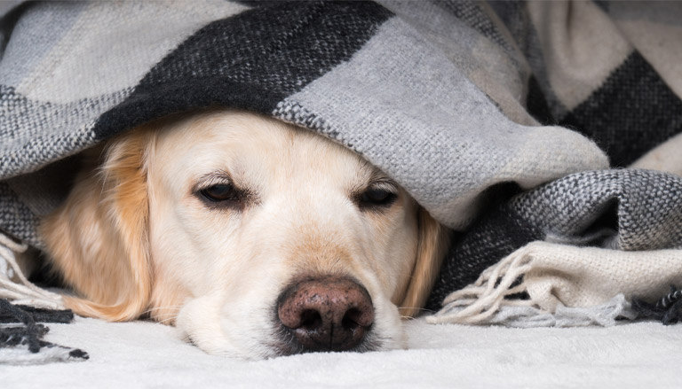 PNW HVAC Specialists - Any Season Comfort Solutions